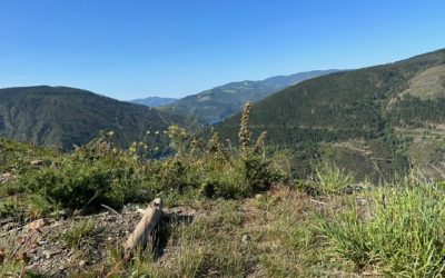 Pensamientos de julio: lograréis llegar hasta vuestro Yo superior