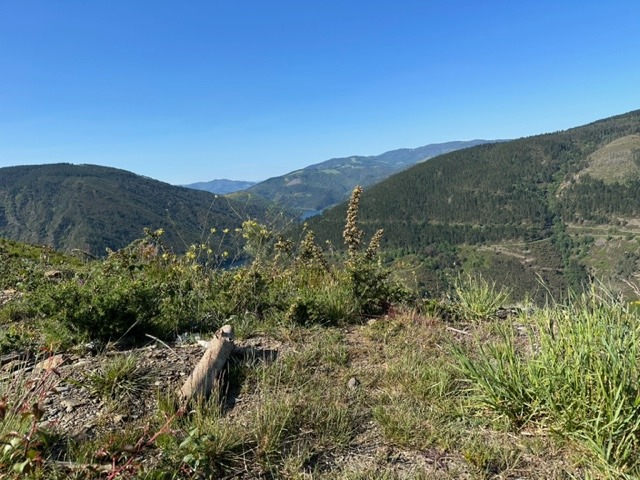 Pensamientos de julio: lograréis llegar hasta vuestro Yo superior