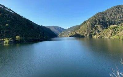 Pensamientos de julio: un día llegará el resultado…