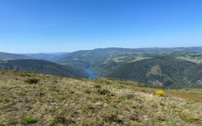 Pensamientos de julio: yo trabajo con Él…