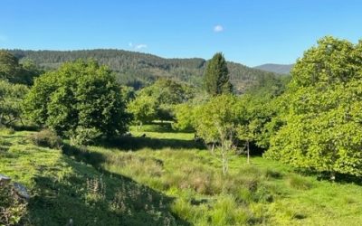 Pensamientos de julio: un cierto trabajo interior