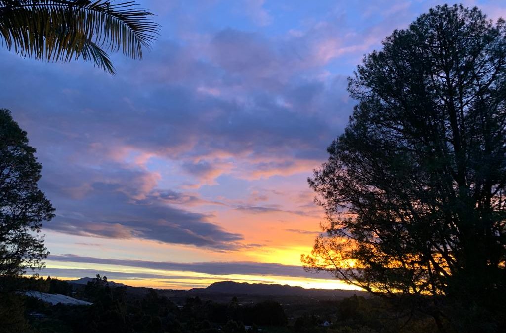 Pensamientos de julio: una energía que regenera todo vuestro ser