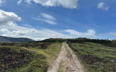 Pensamientos de julio: lo que deis os será un día devuelto