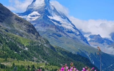 Pensamientos de julio: ese es mi amado