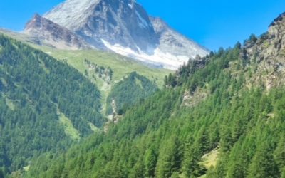 Pensamientos de julio: tu armonía