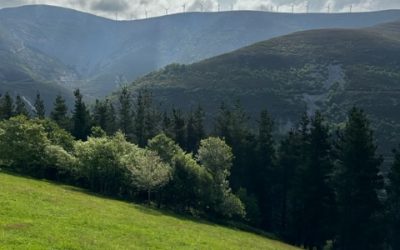 Pensamientos de julio: los esfuerzos