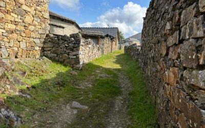 Pensamientos de julio: buscad la unidad y la armonía