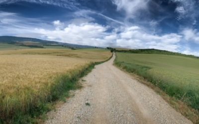 Pensamientos de julio: una llama que brota