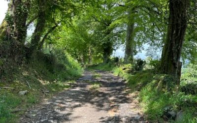 Pensamientos de julio: un método pedagógico para vivir plenamente