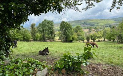 Pensamientos de julio: calidad del pensamiento