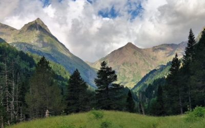 Pensamientos de agosto: la llama inextinguible del logro