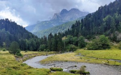 Pensamientos de agosto: restablecer el vínculo con el mundo del alma