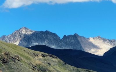 Pensamientos de agosto: un camino se abre poco a poco…