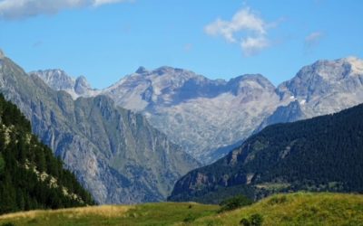 Pensamientos de agosto: elevarse a la cima