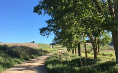 Pensamientos de agosto: afirmamos la batalla…