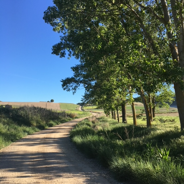 Pensamientos de agosto: afirmamos la batalla…