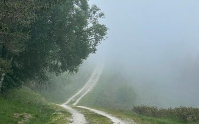 Pensamientos de agosto: buscar dentro