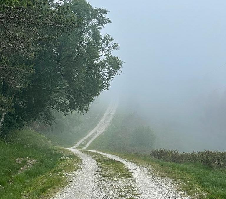 Pensamientos de agosto: buscar dentro