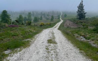 Pensamientos de agosto: tenéis un socio poderoso