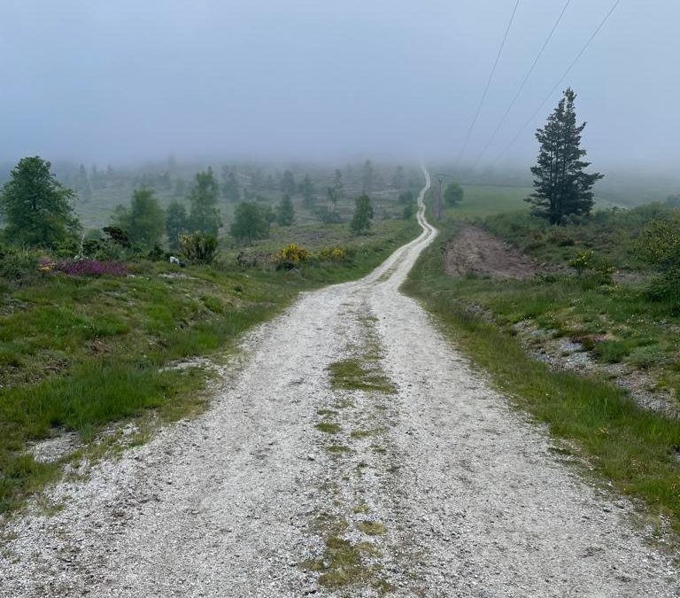 Pensamientos de agosto: tenéis un socio poderoso