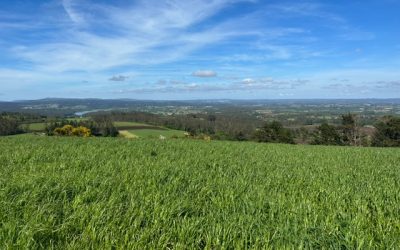 Pensamientos de agosto: recibe del Cielo un electrón…