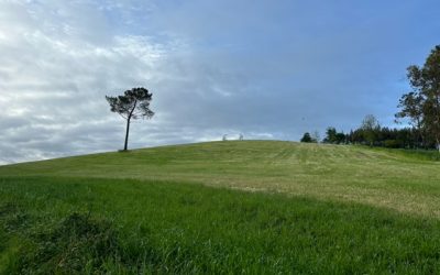 Pensamientos de agosto: esforzarse