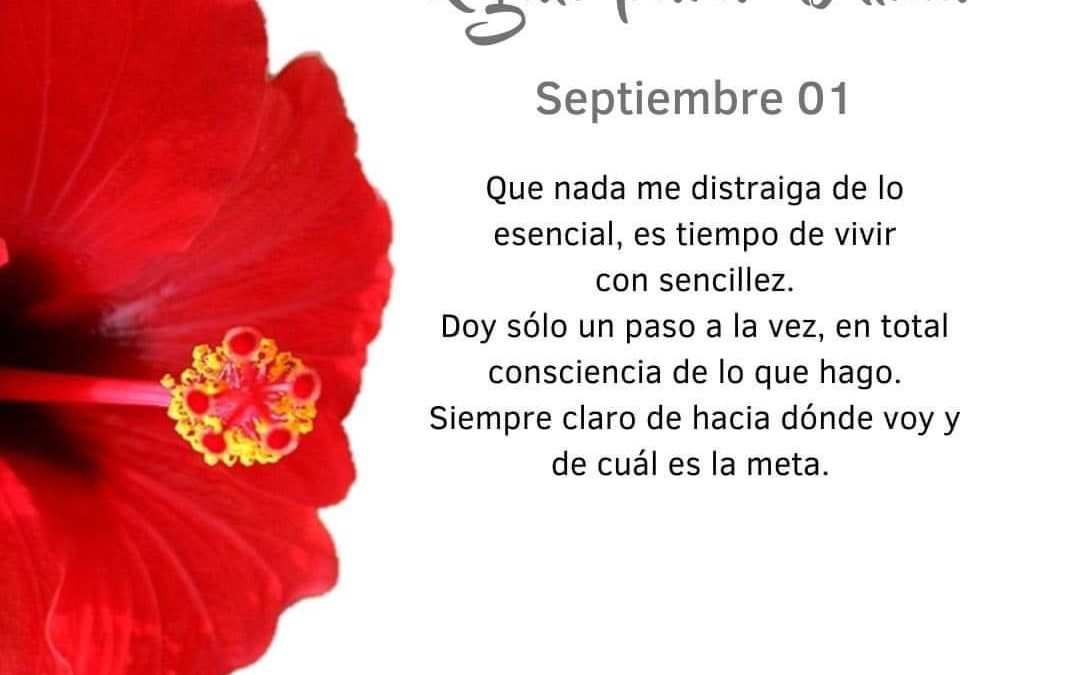 Pensamientos de septiembre: es tiempo de vivir con sencillez