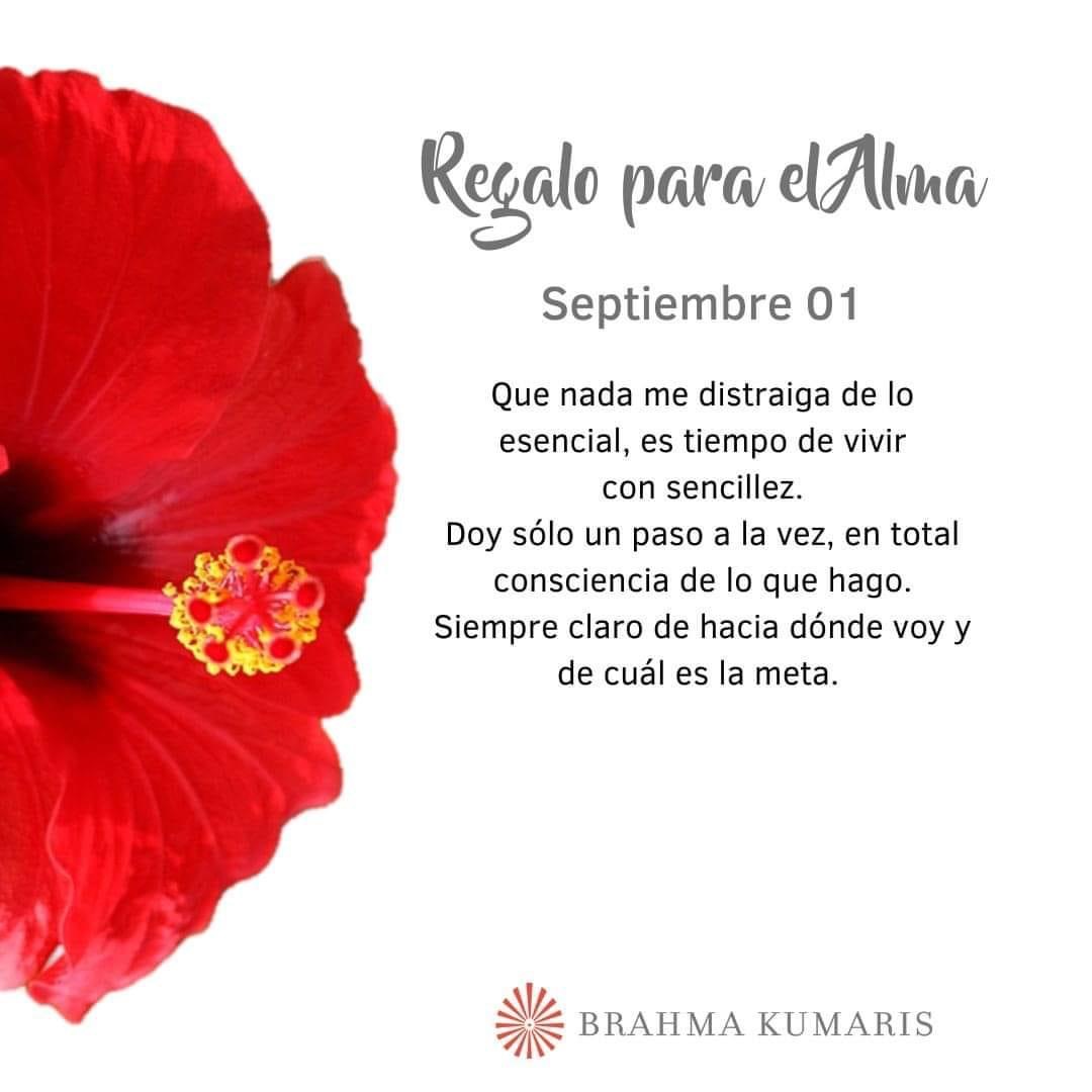 Pensamientos de septiembre: es tiempo de vivir con sencillez