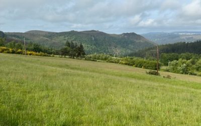 Pensamientos de septiembre: preparar la comida con el mejor estado interior