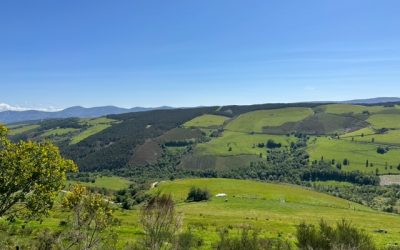 Pensamientos de septiembre: alimentar al mundo entero