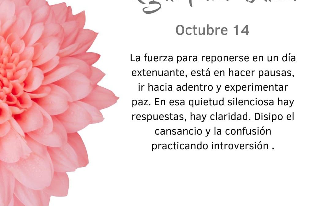 Pensamientos de octubre: ir hacia adentro
