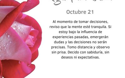Pensamientos de octubre: tomo distancia y observo