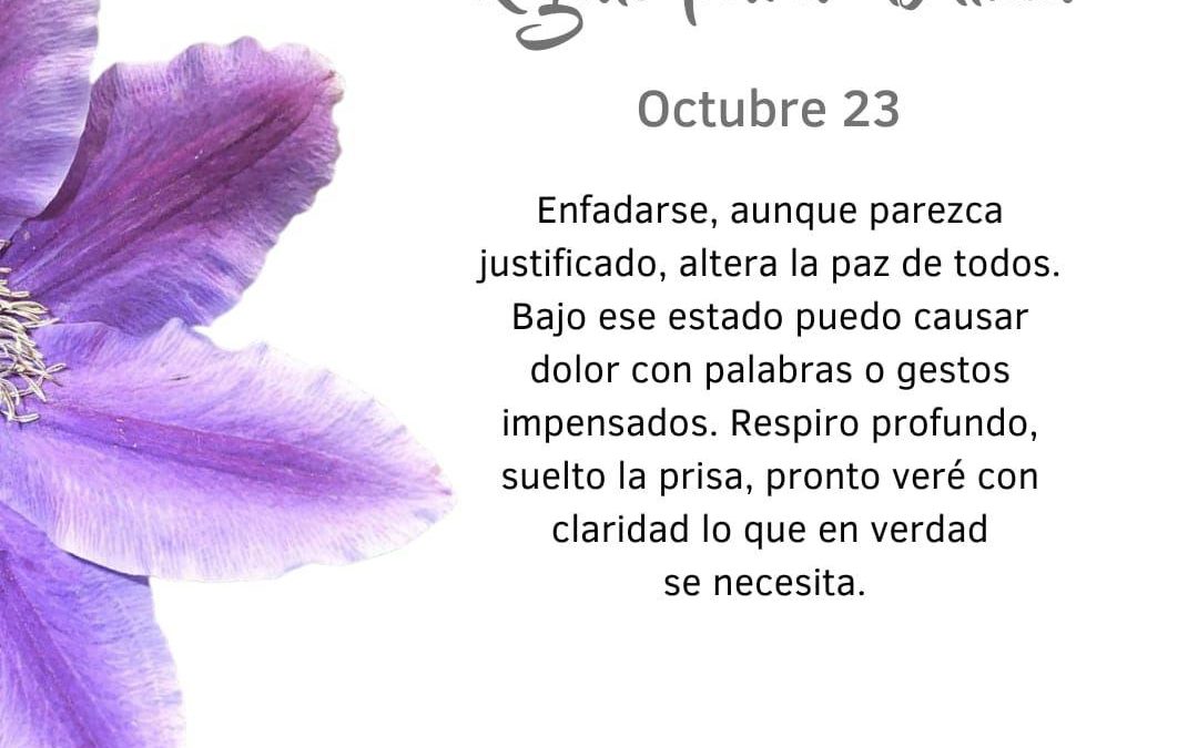 Pensamientos de octubre: respiro profundo, suelto la prisa