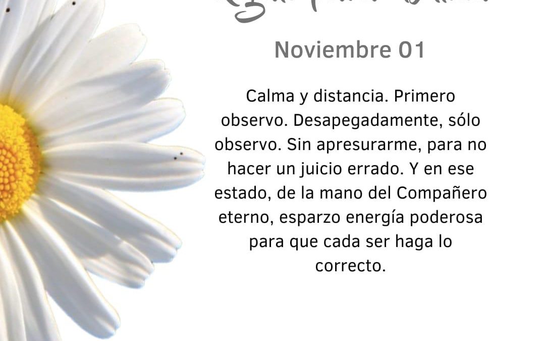 Pensamientos de noviembre: de la mano del Compañero eterno