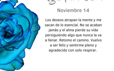 Pensamientos de noviembre: retomo el camino
