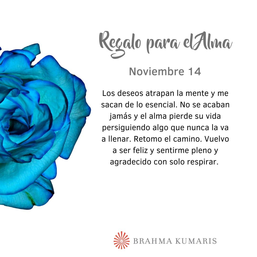 Pensamientos de noviembre: retomo el camino