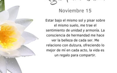 Pensamientos de noviembre: intento ofrecer lo mejor