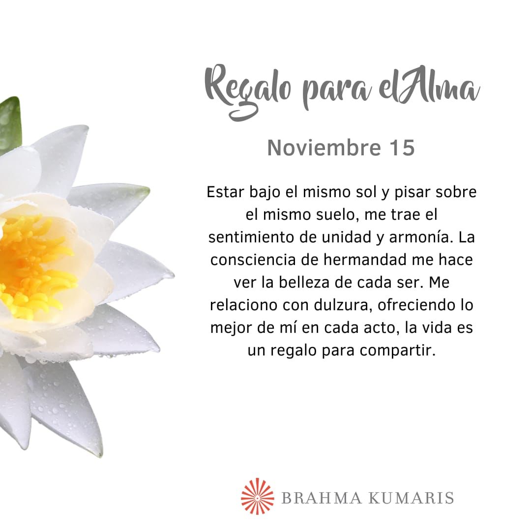 Pensamientos de noviembre: intento ofrecer lo mejor
