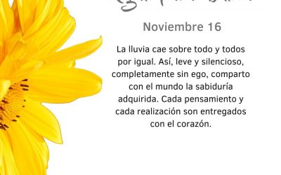 Pensamientos de noviembre: me bajo del ego