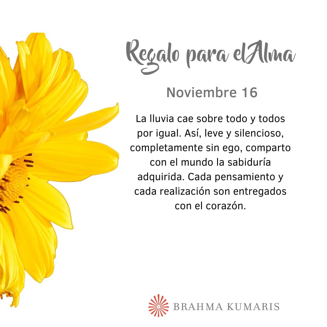 Pensamientos de noviembre: me bajo del ego