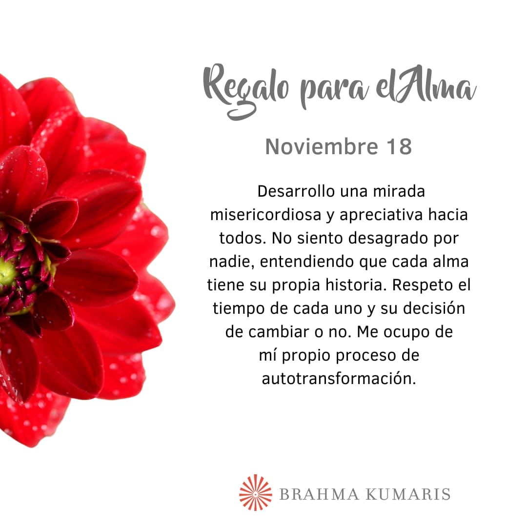 Pensamientos de noviembre: mi transformación