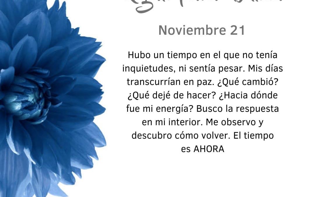 Pensamientos de noviembre: busco la respuesta en mi interior