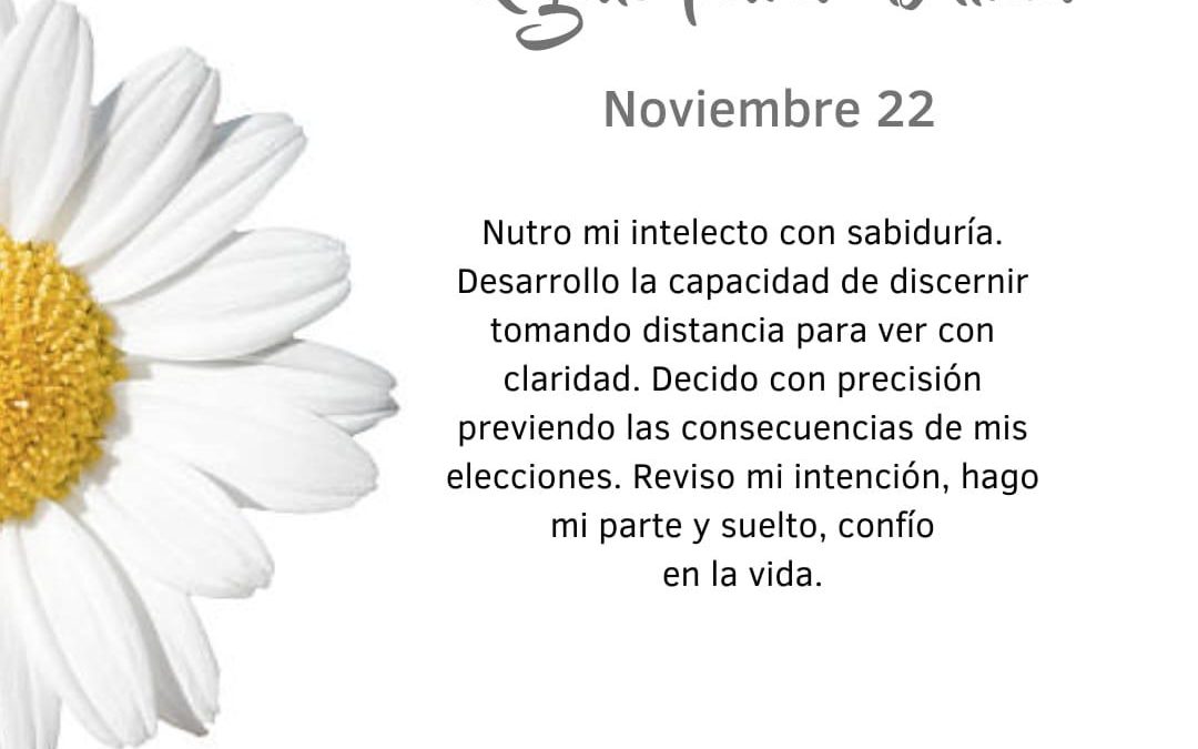 Pensamientos de noviembre: tomo distancia para ver con claridad