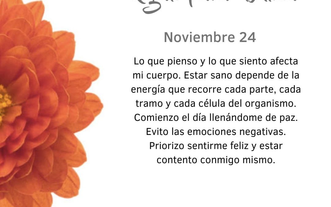 Pensamientos de noviembre: nutrir mi pensamiento