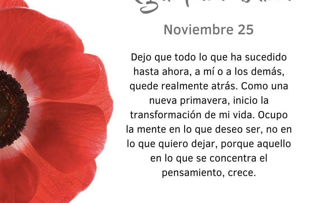 Pensamiento simiente: ocupo la mente en lo que quiero ser