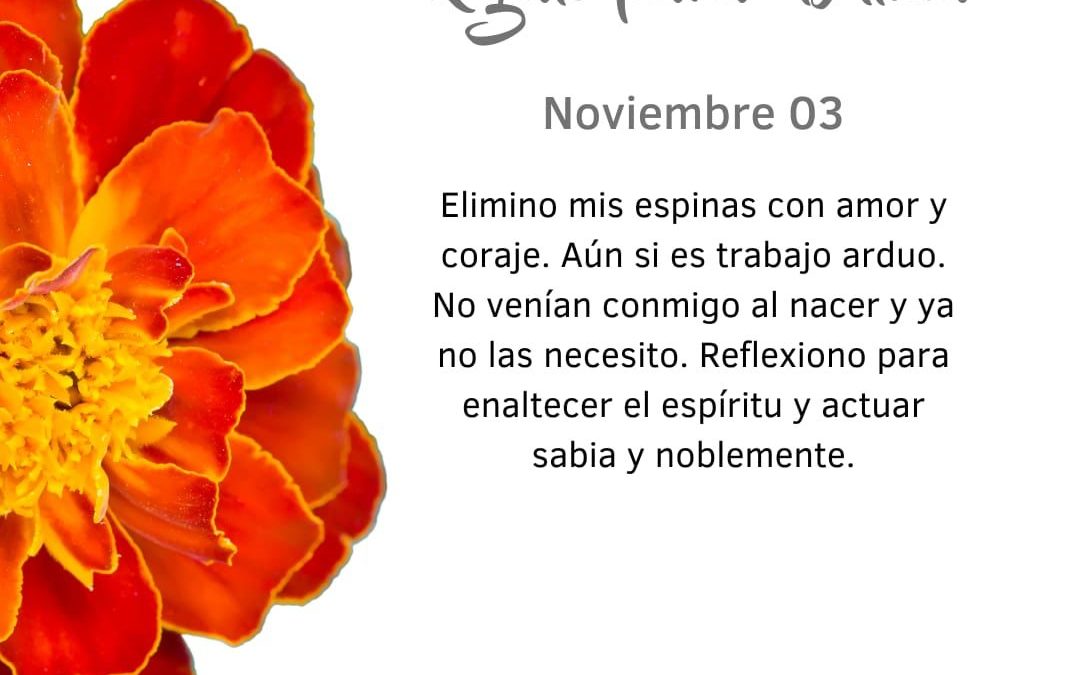 Pensamientos de noviembre: actuar sabia y noblemente