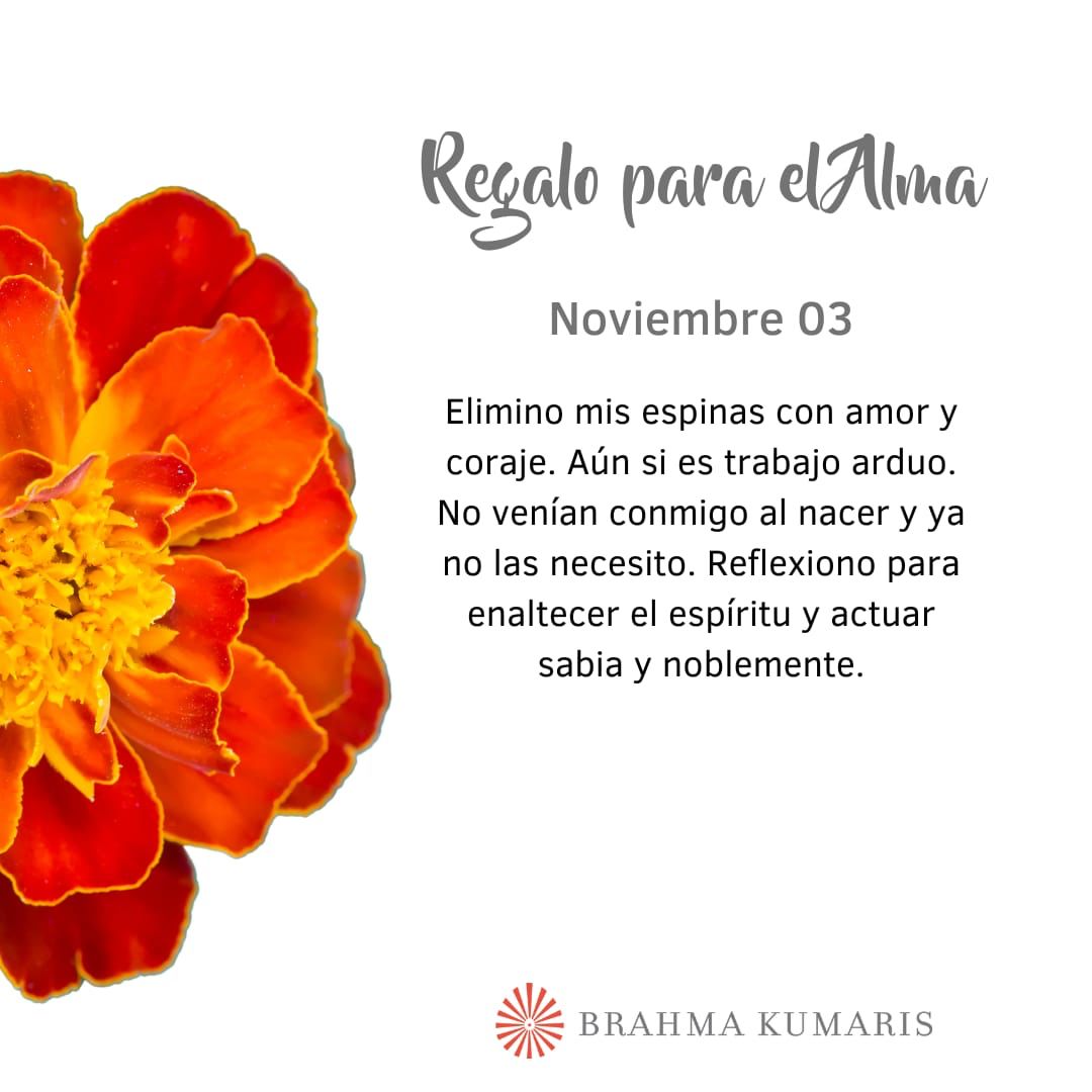 Pensamientos de noviembre: actuar sabia y noblemente