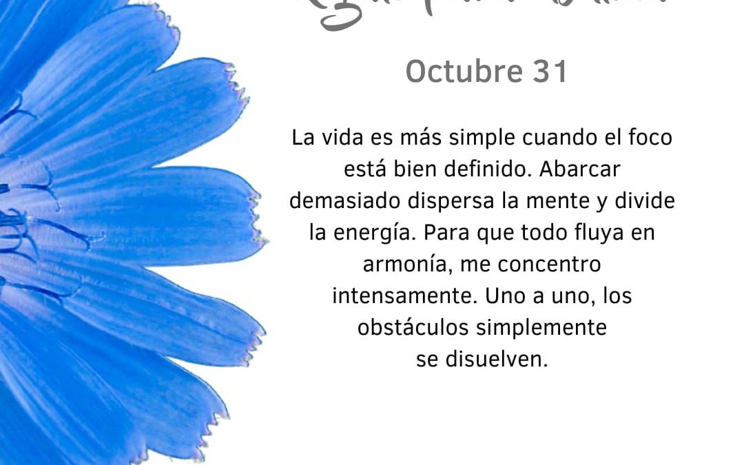 Pensamientos de octubre: un foco bien definido