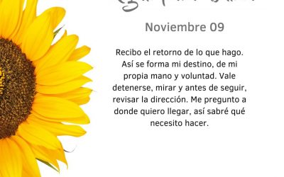 Pensamientos de noviembre: detenerse, mirar