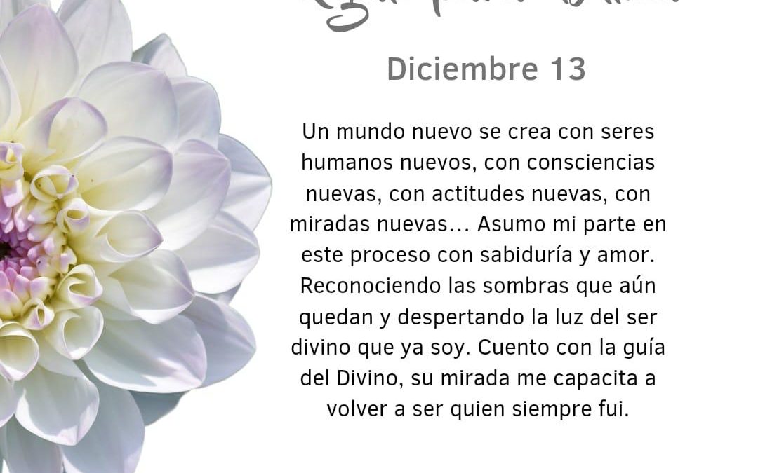 Pensamiento simiente: asumo mi parte